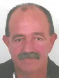 van Zwol